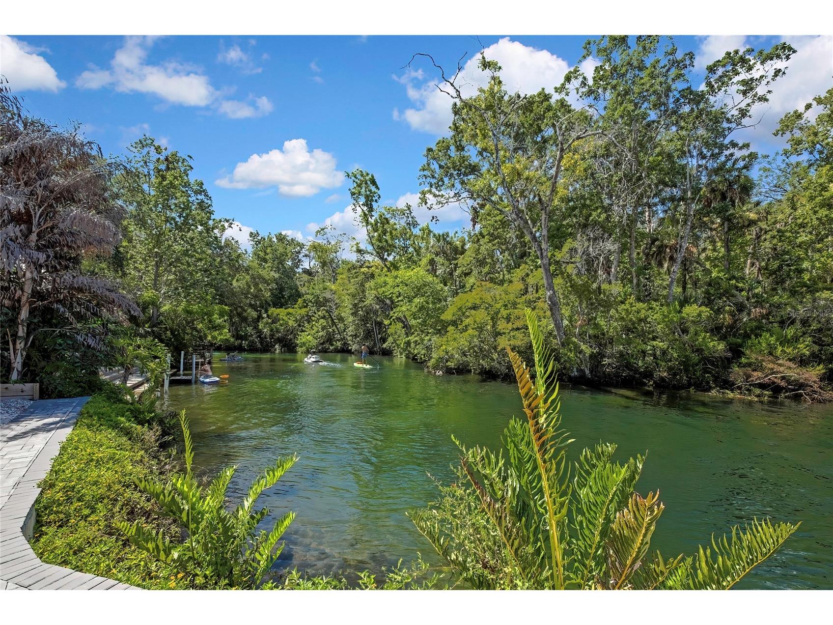 6080 Waverly Road Weeki Wachee FL 34607 W7887149 image47
