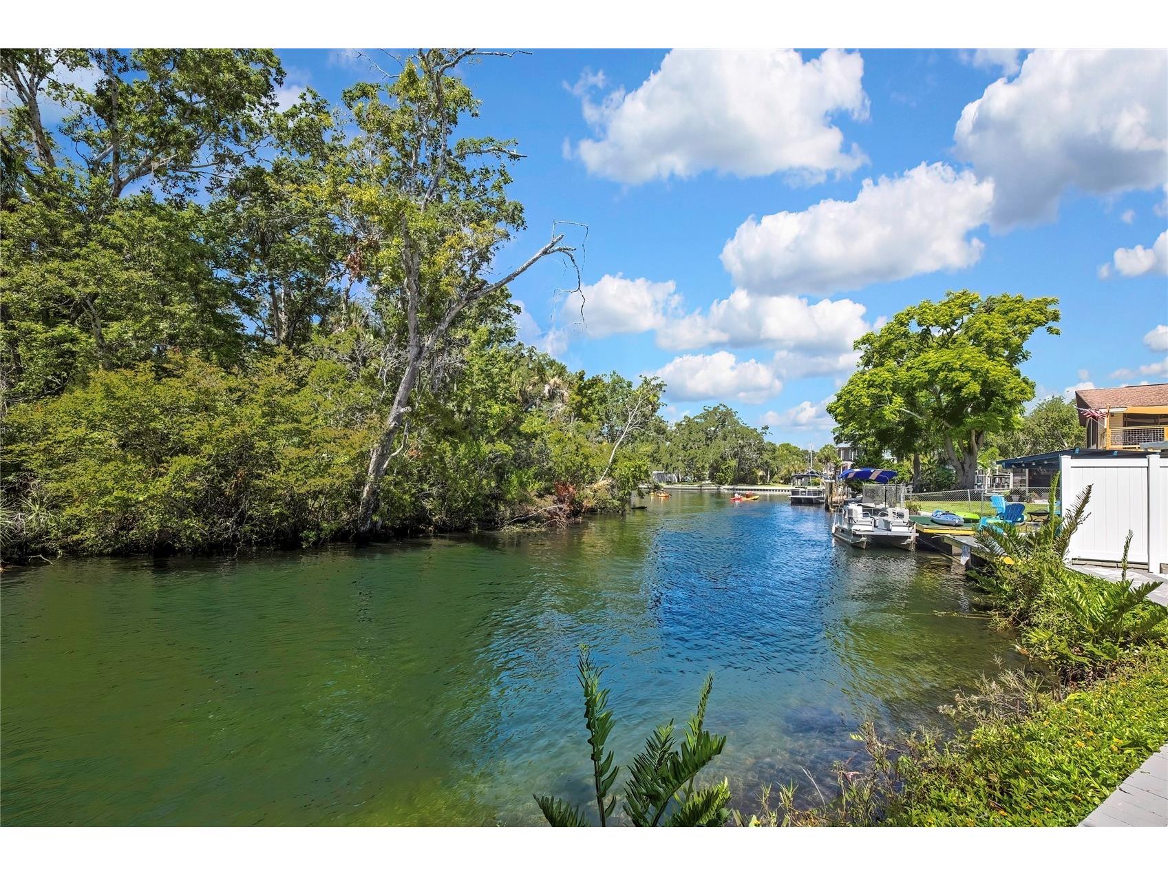 6080 Waverly Road Weeki Wachee FL 34607 W7887149 image48