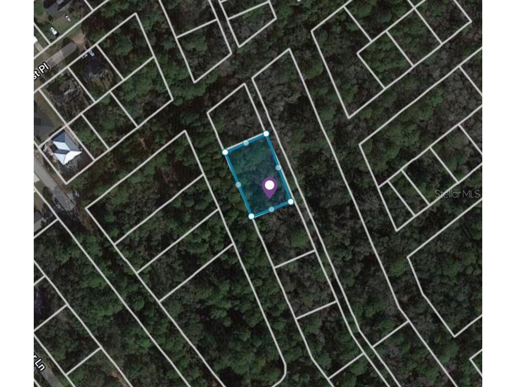 6080 Woodland Drive Saint Augustine FL 32095 C7473062 image1