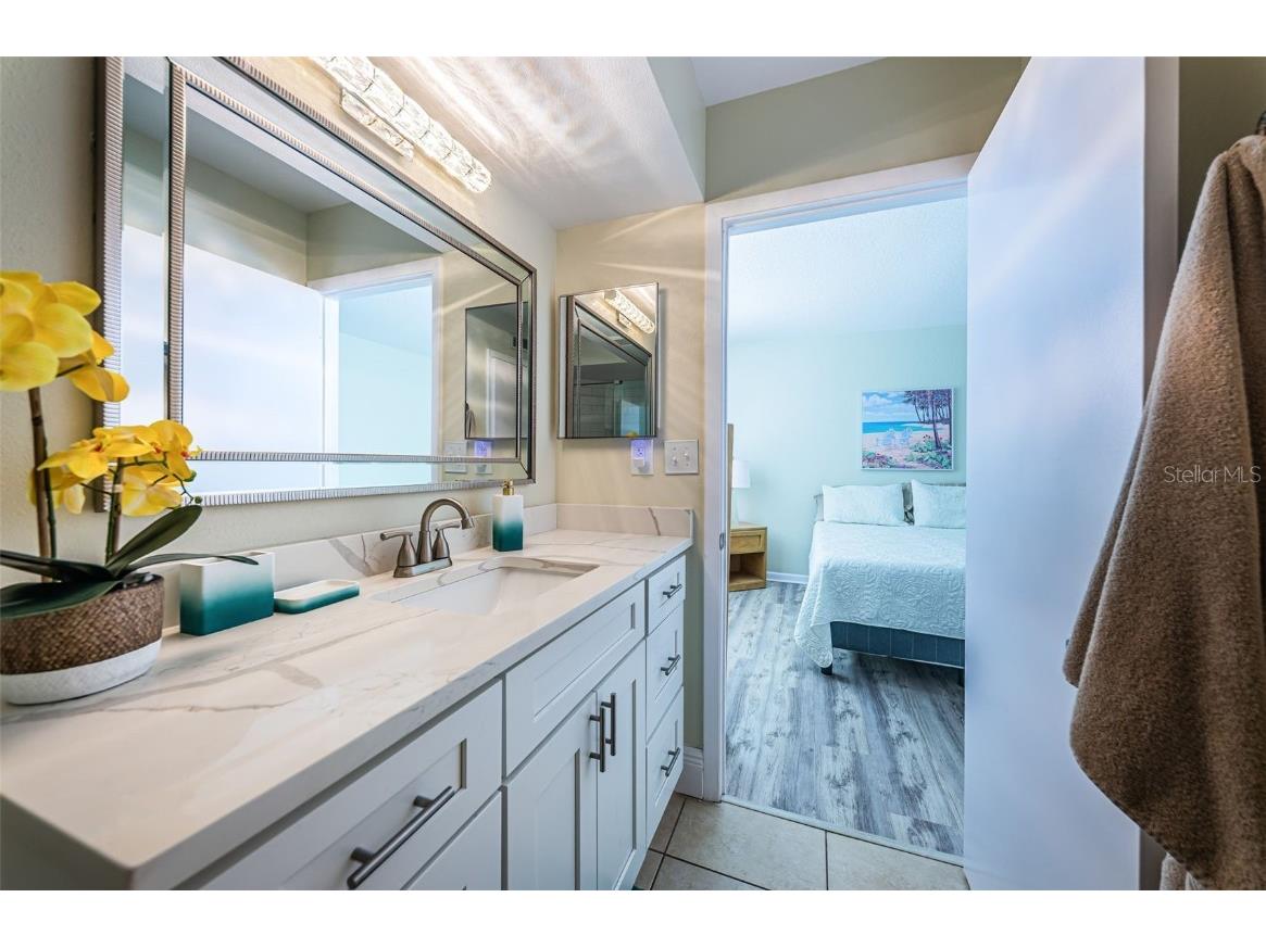 6081 Bahia Del Mar Circle #456 Saint Petersburg FL 33715 TB8383195 image18