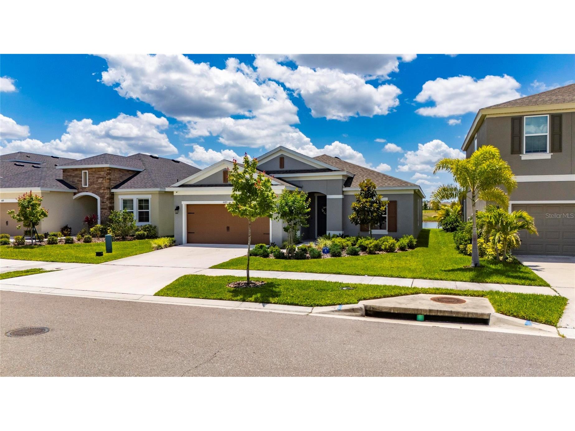 6081 Hidden Branch Drive Apollo Beach FL 33572 TB8502590 image1