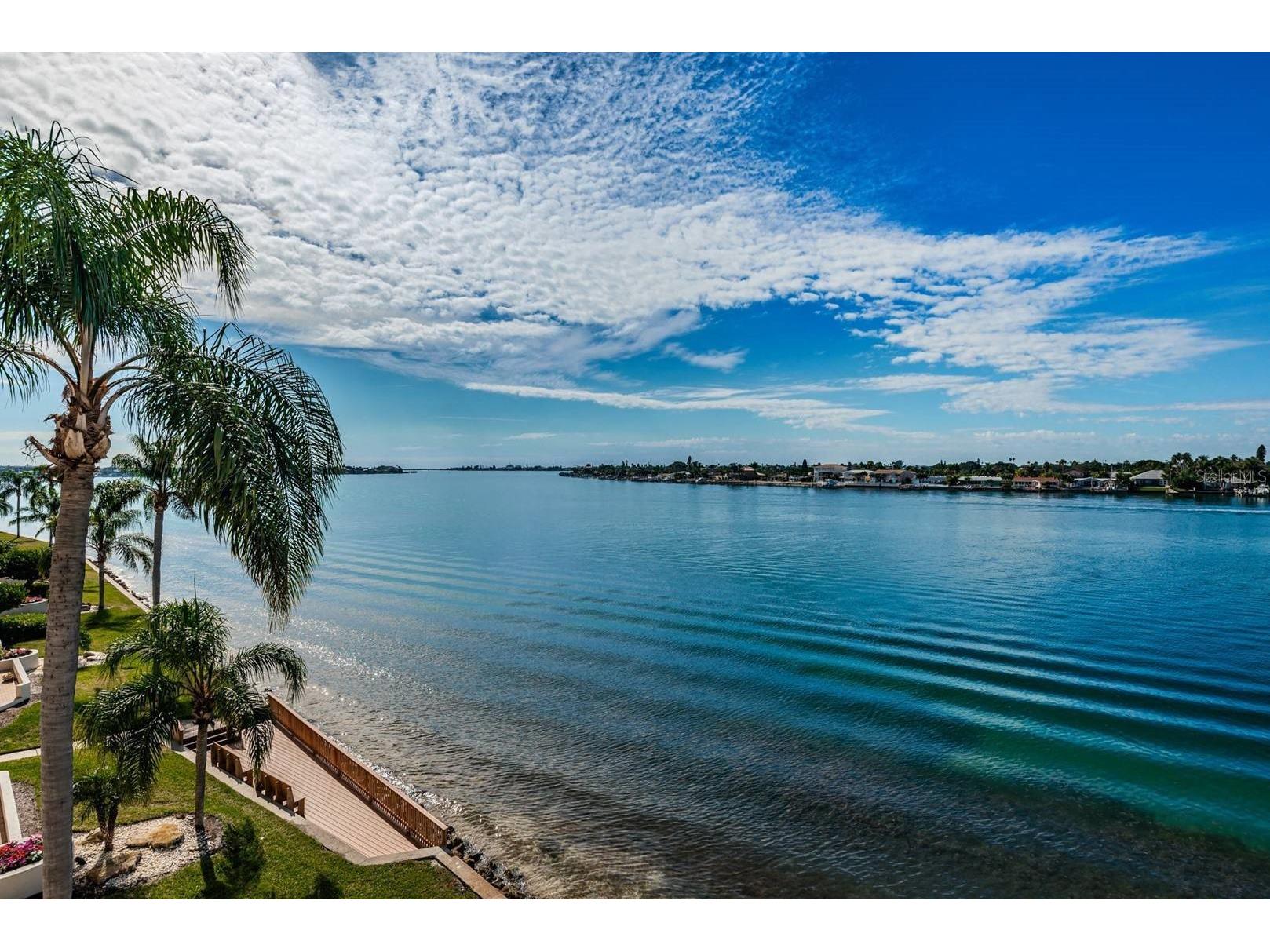 6083 Bahia Del Mar Circle #460 Saint Petersburg FL 33715 TB8474407 image1