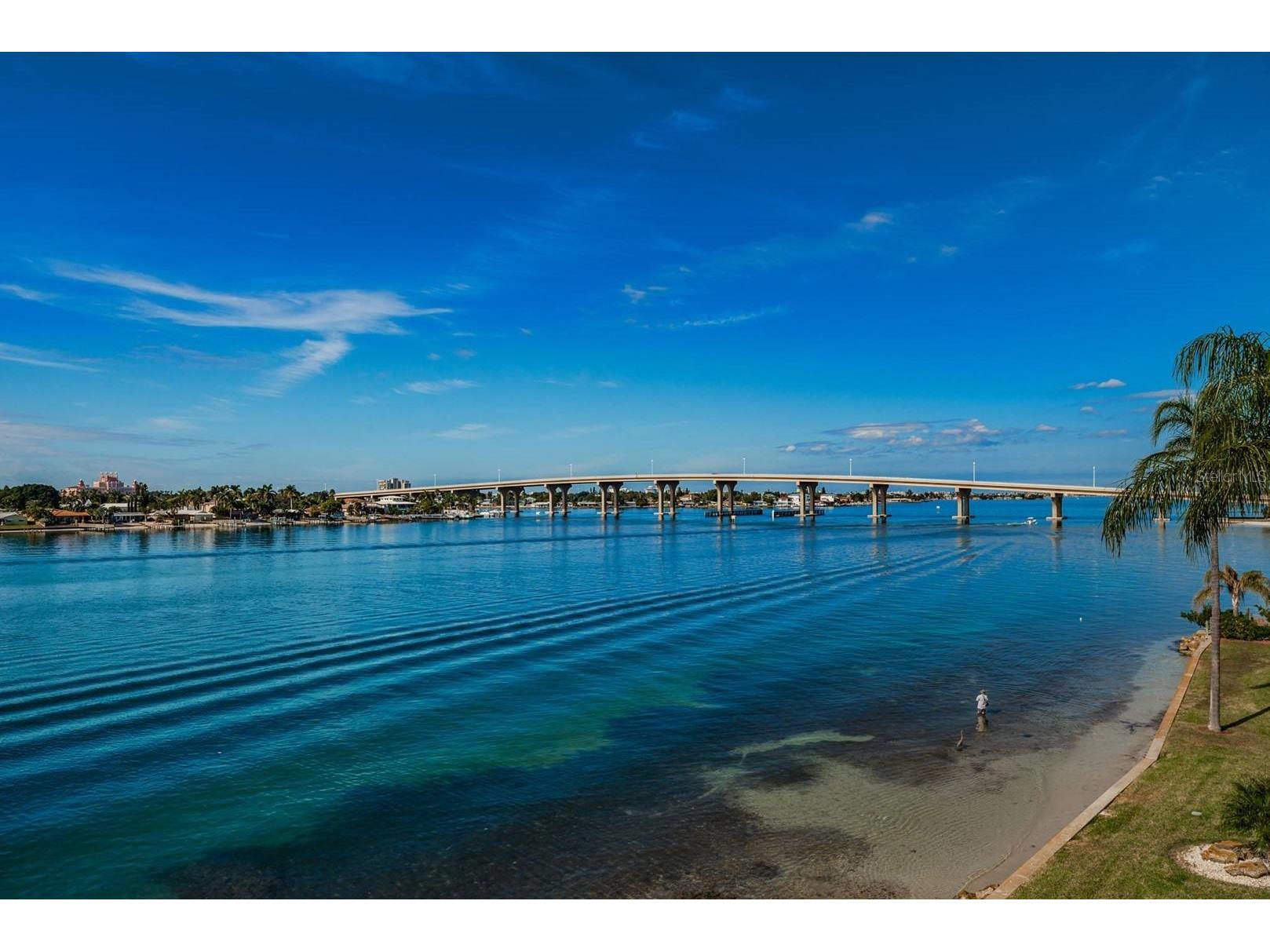 6083 Bahia Del Mar Circle #460 Saint Petersburg FL 33715 TB8474407 image19