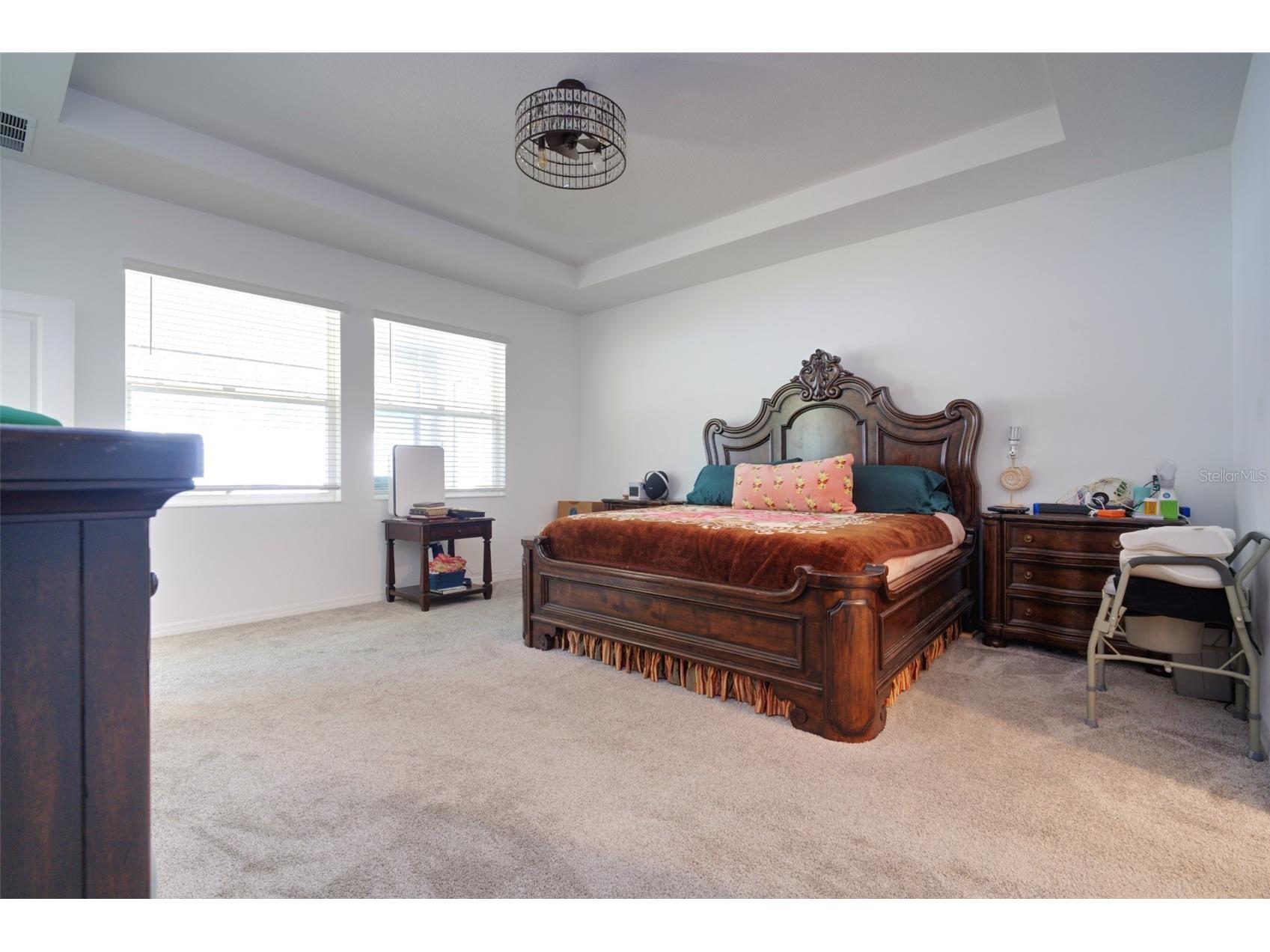 6084 Claystone Way Mount Dora FL 32757 O6412477 image17