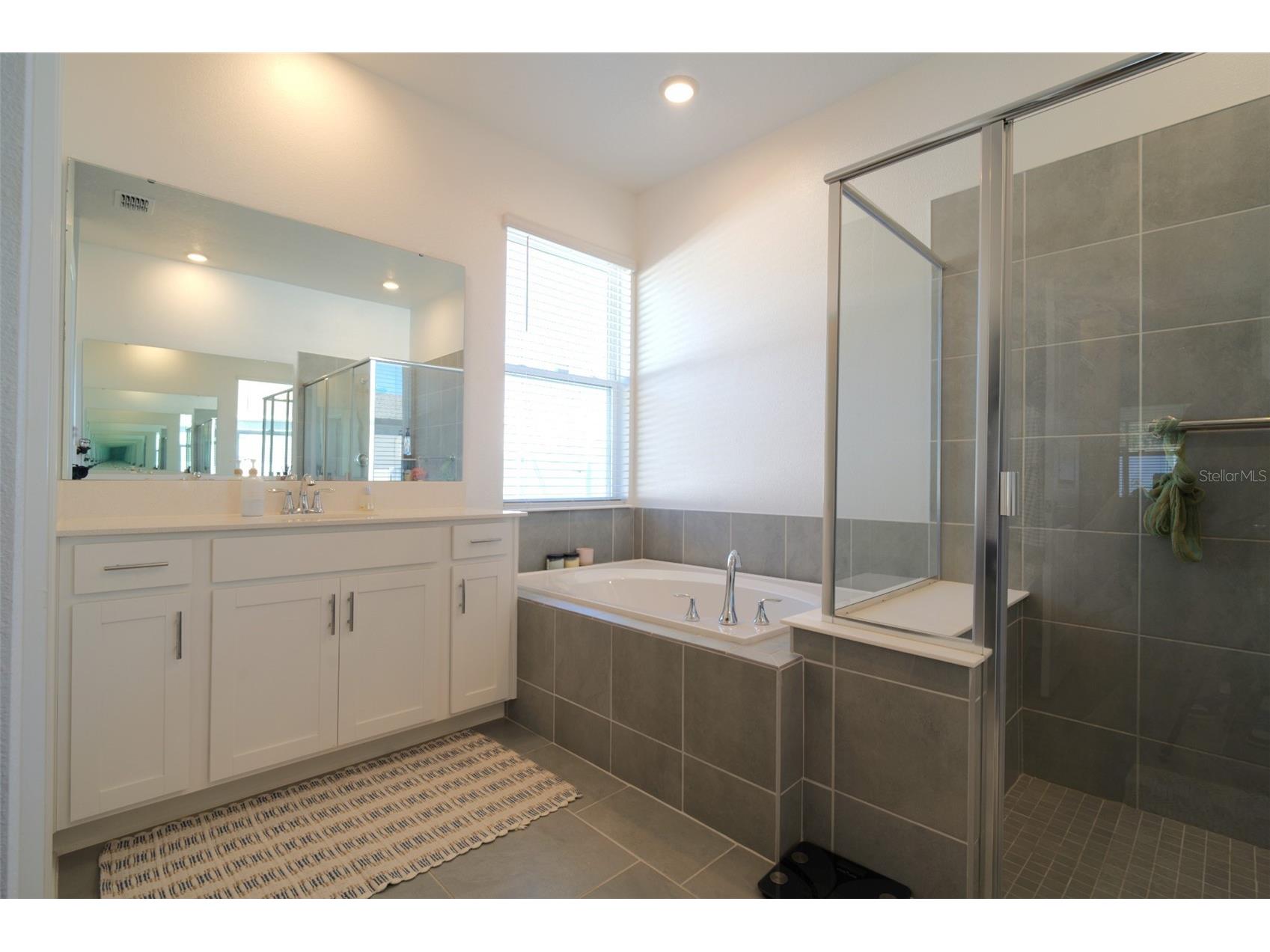 6084 Claystone Way Mount Dora FL 32757 O6412477 image19