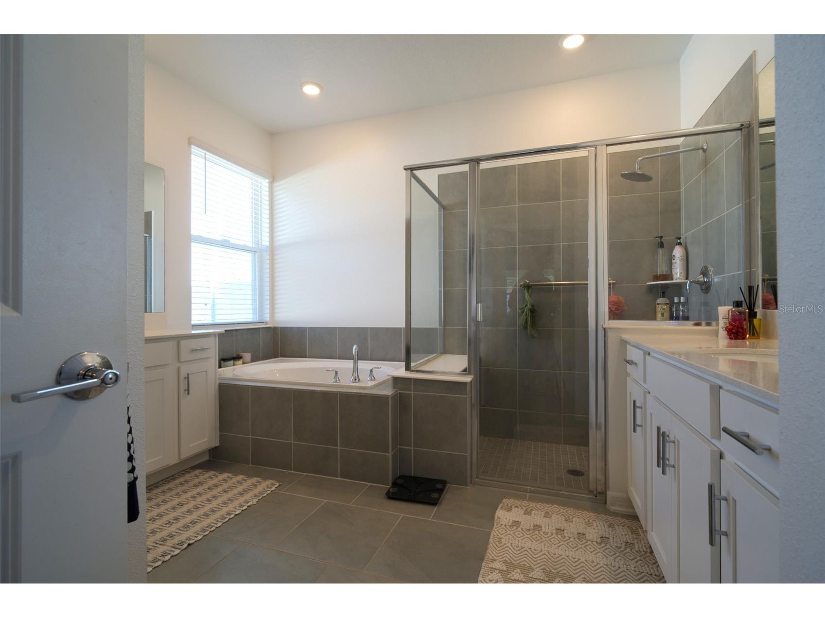 6084 Claystone Way Mount Dora FL 32757 O6412477 image20