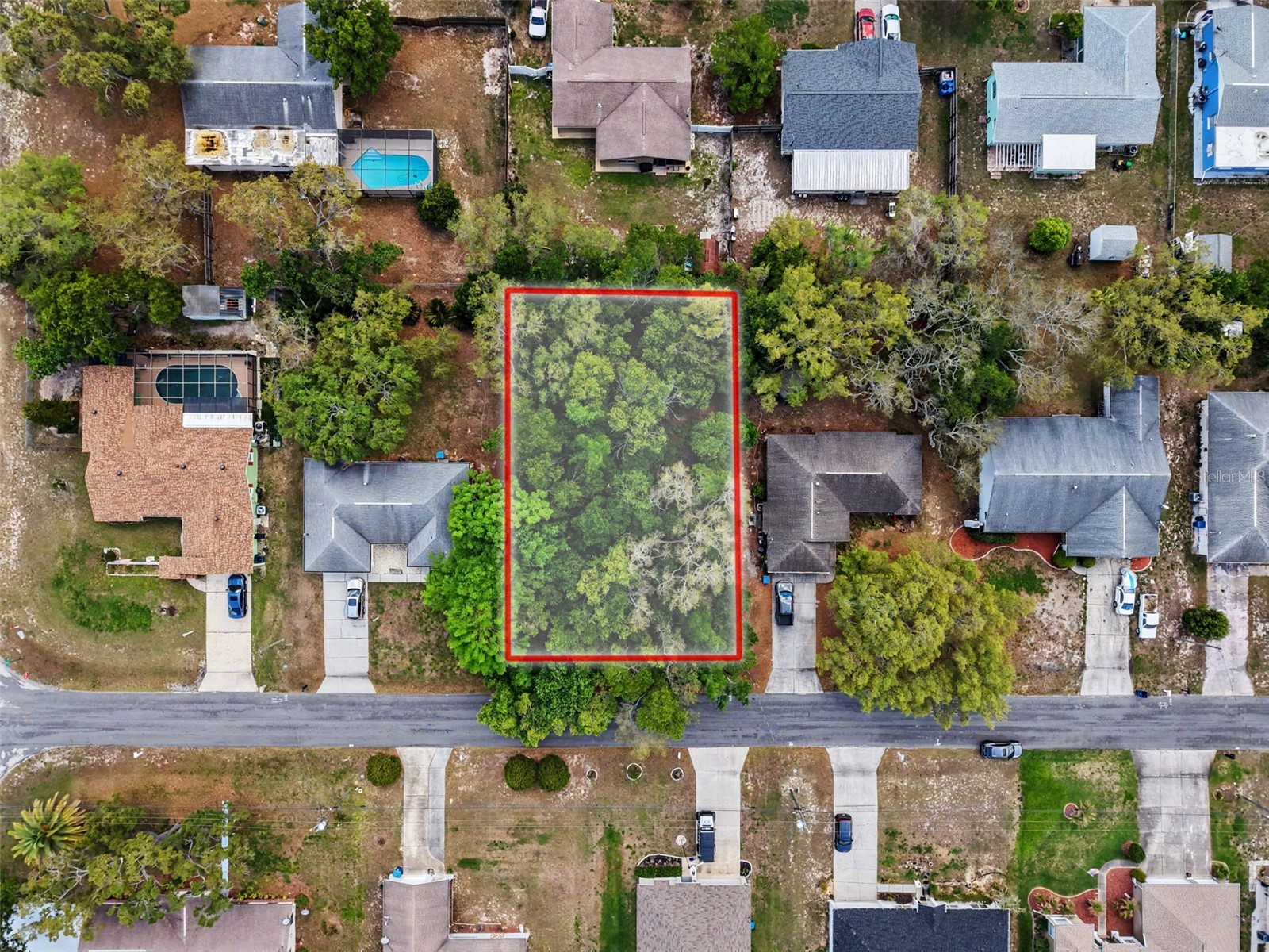 6084 Piedmont Drive Spring Hill FL 34606 O6400628 image4