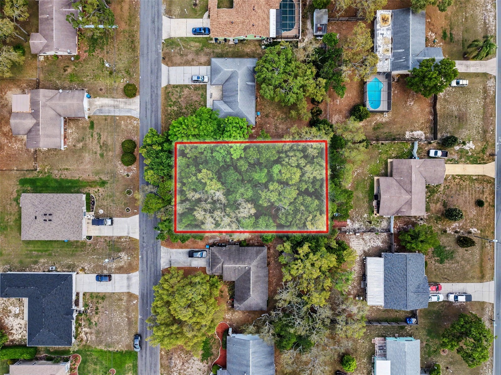 6084 Piedmont Drive Spring Hill FL 34606 O6400628 image8