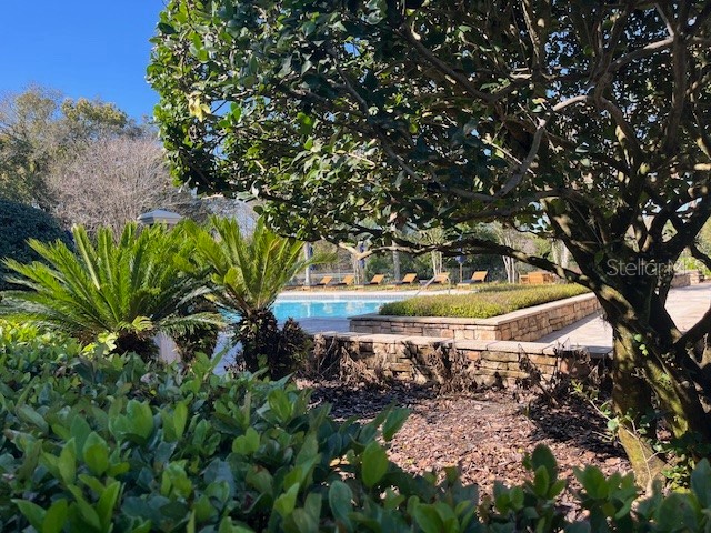 6084 Stevenson Drive #110 Orlando FL 32835 O6392795 image27