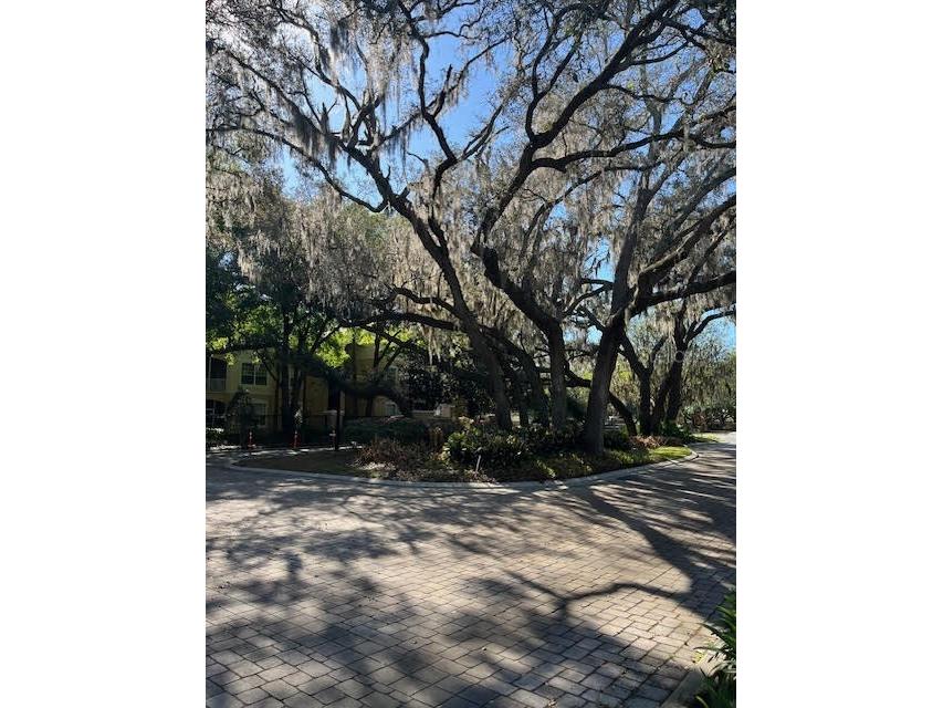 6084 Stevenson Drive #110 Orlando FL 32835 O6392795 image28