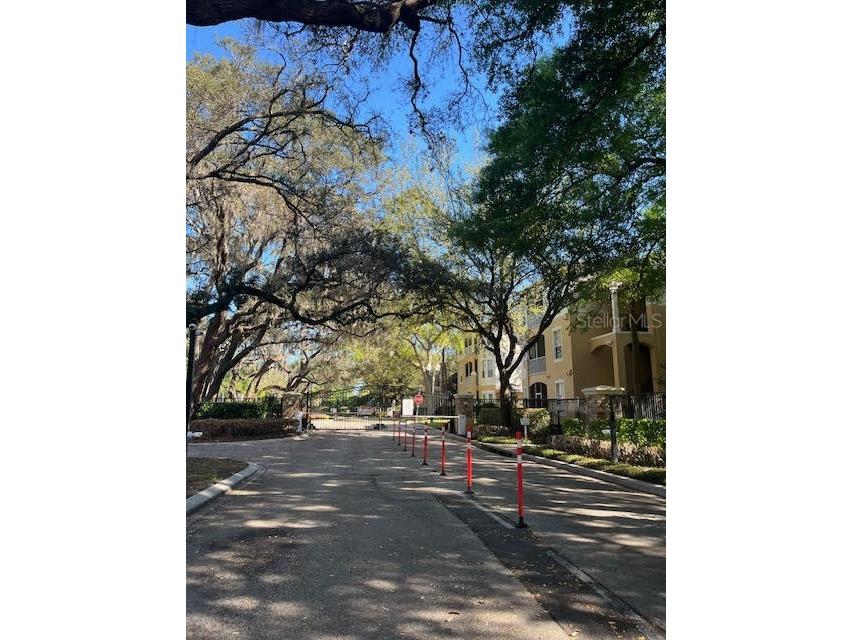 6084 Stevenson Drive #110 Orlando FL 32835 O6392795 image3