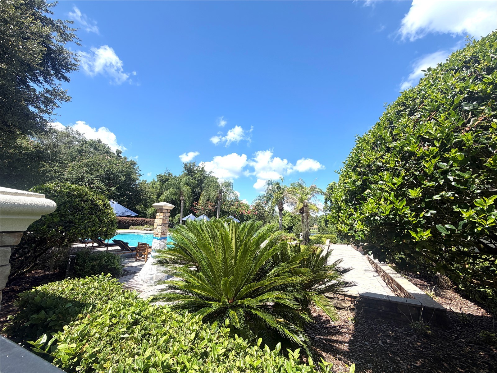 6084 Stevenson Drive #204 Orlando FL 32835 O6420978 image22