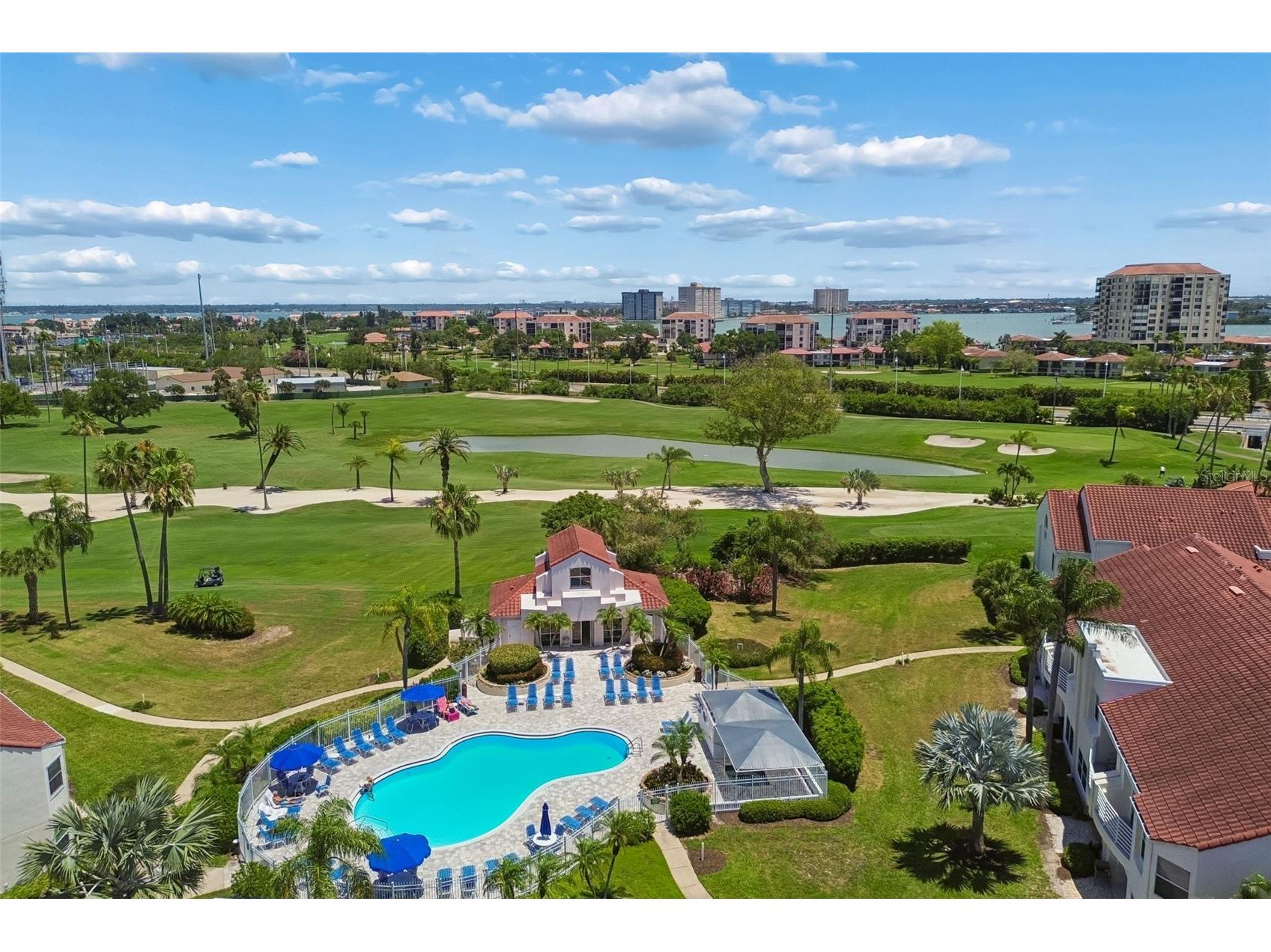 6085 Bahia Del Mar Boulevard #106 Saint Petersburg FL 33715 TB8502712 image35