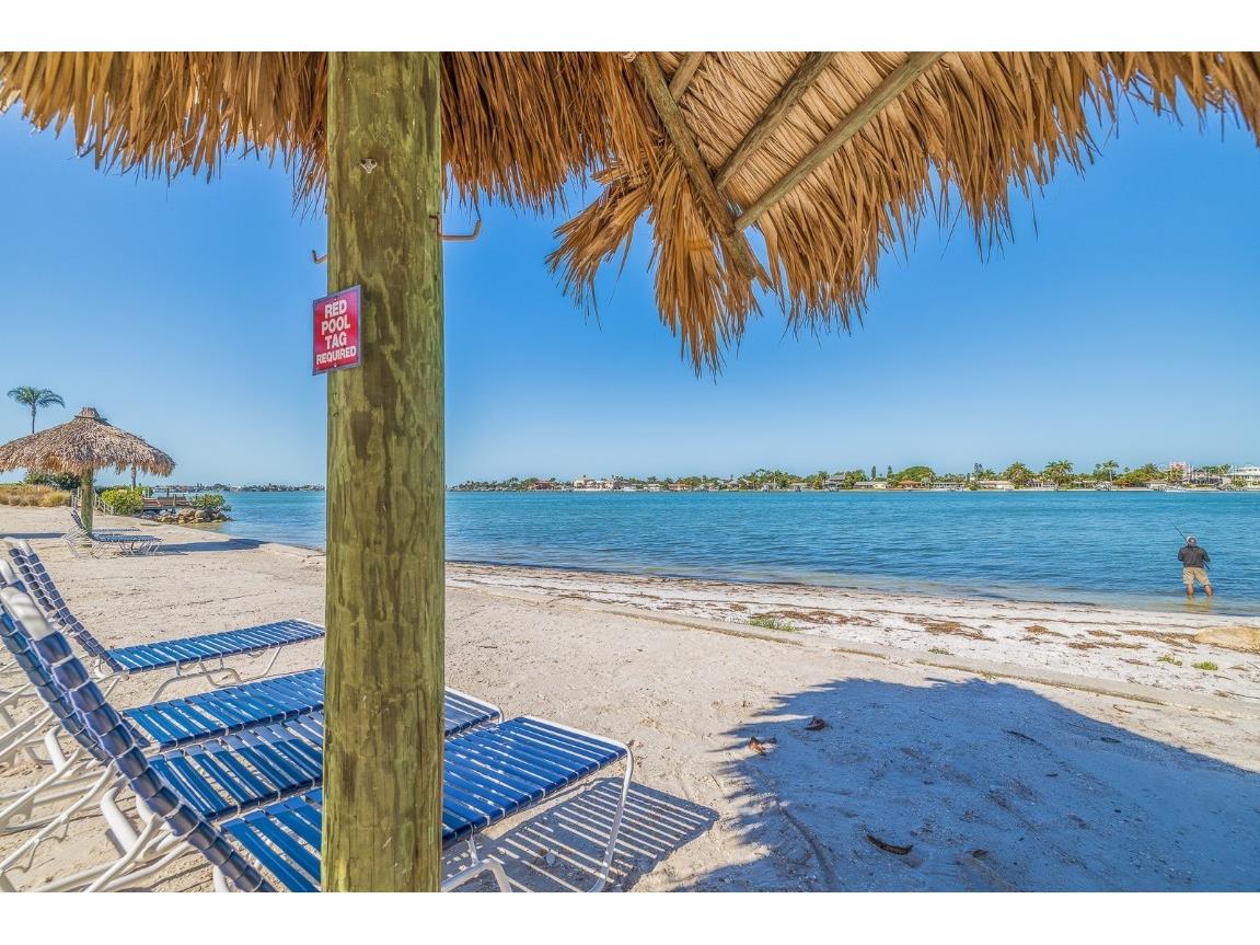 6085 Bahia Del Mar Circle #171 Saint Petersburg FL 33715 TB8416984 image56