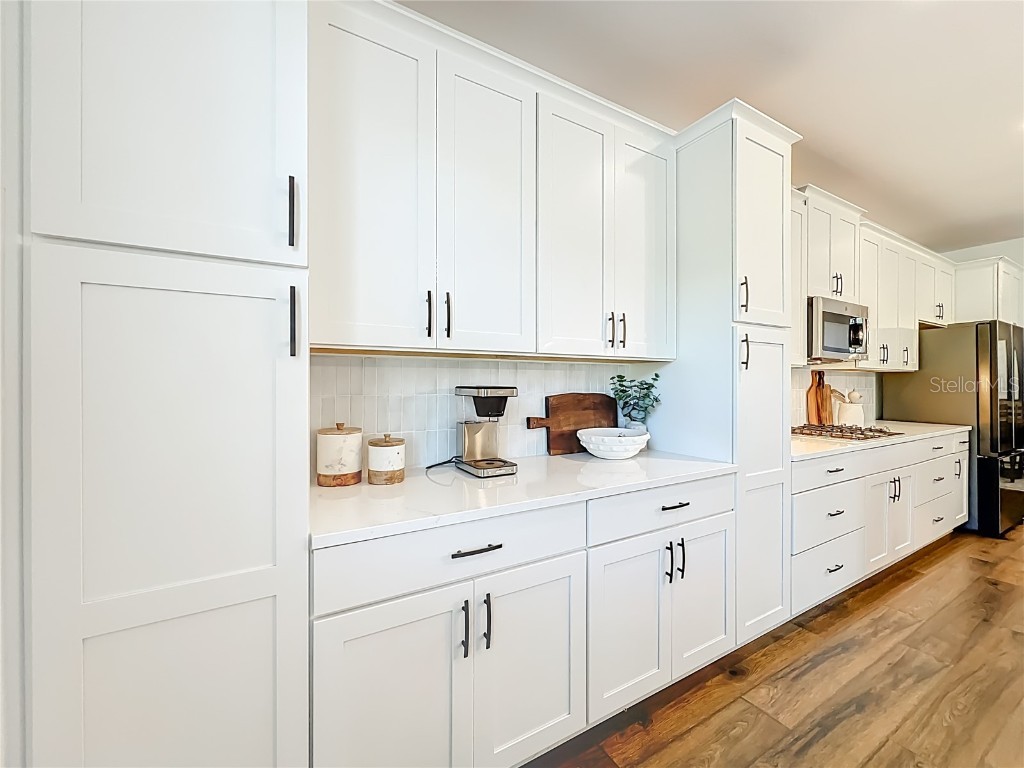 6089 Sierra Crown Street Mount Dora FL 32757 O6348562 image15