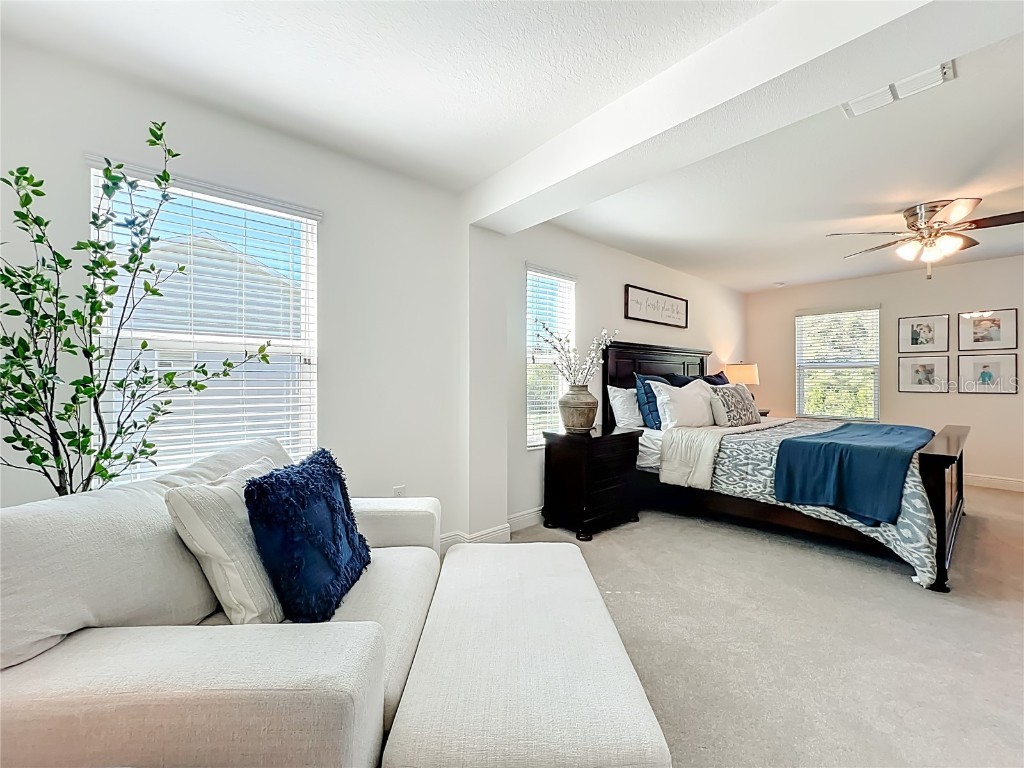 6089 Sierra Crown Street Mount Dora FL 32757 O6348562 image22