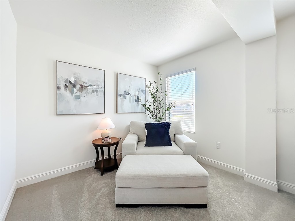 6089 Sierra Crown Street Mount Dora FL 32757 O6348562 image23