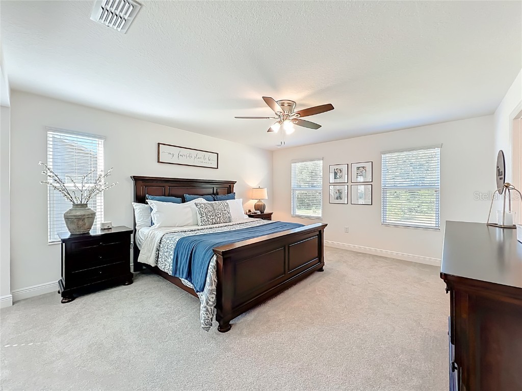 6089 Sierra Crown Street Mount Dora FL 32757 O6348562 image24