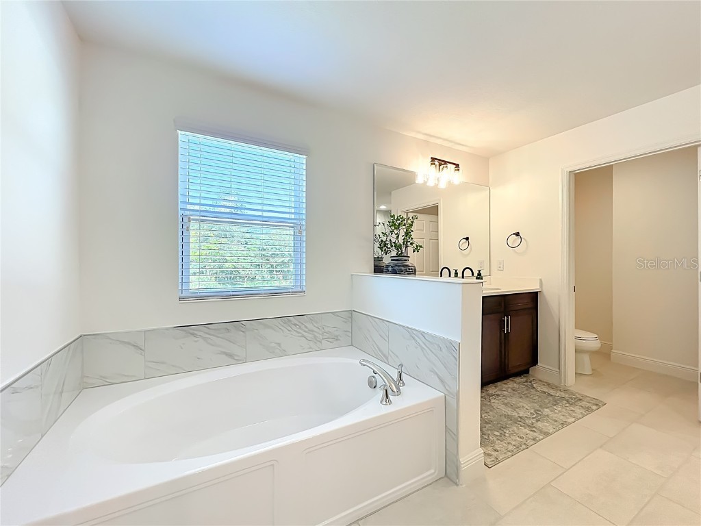 6089 Sierra Crown Street Mount Dora FL 32757 O6348562 image28