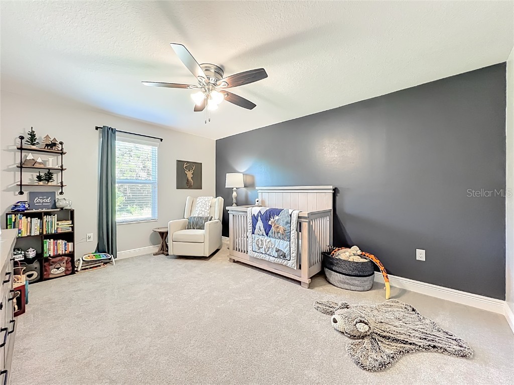 6089 Sierra Crown Street Mount Dora FL 32757 O6348562 image42