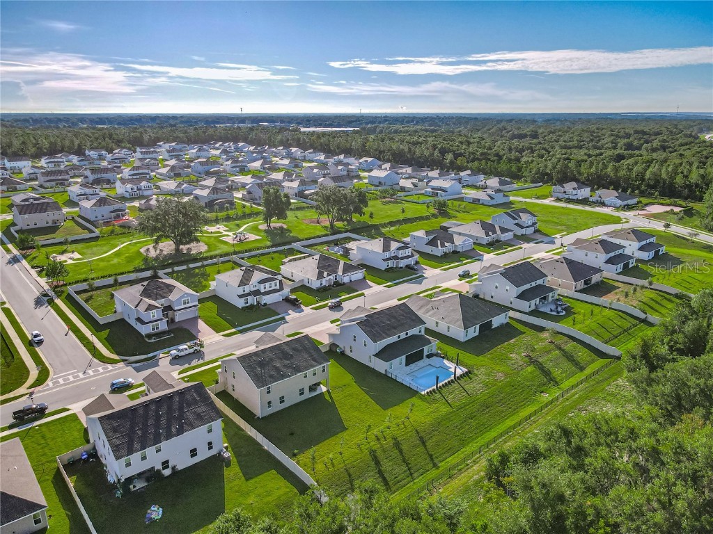 6089 Sierra Crown Street Mount Dora FL 32757 O6348562 image50