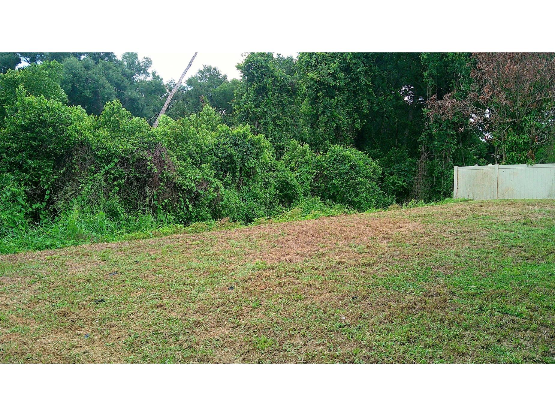 609 Cedar Waxwing Drive Brandon FL 33510 TB8519998 image22