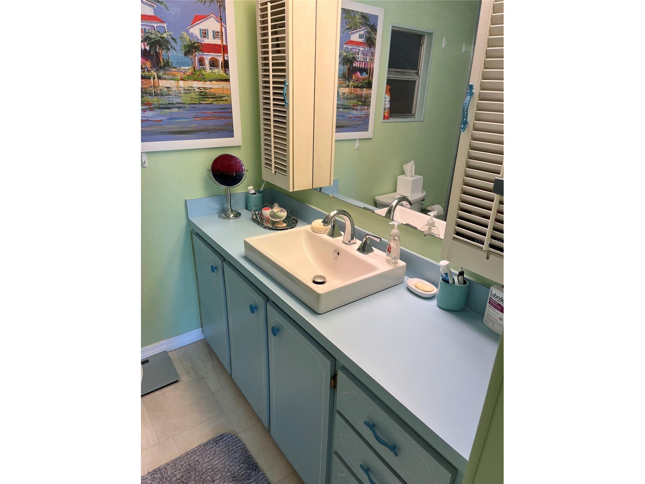 609 Cervina Drive Venice FL 34285 N6144947 image30