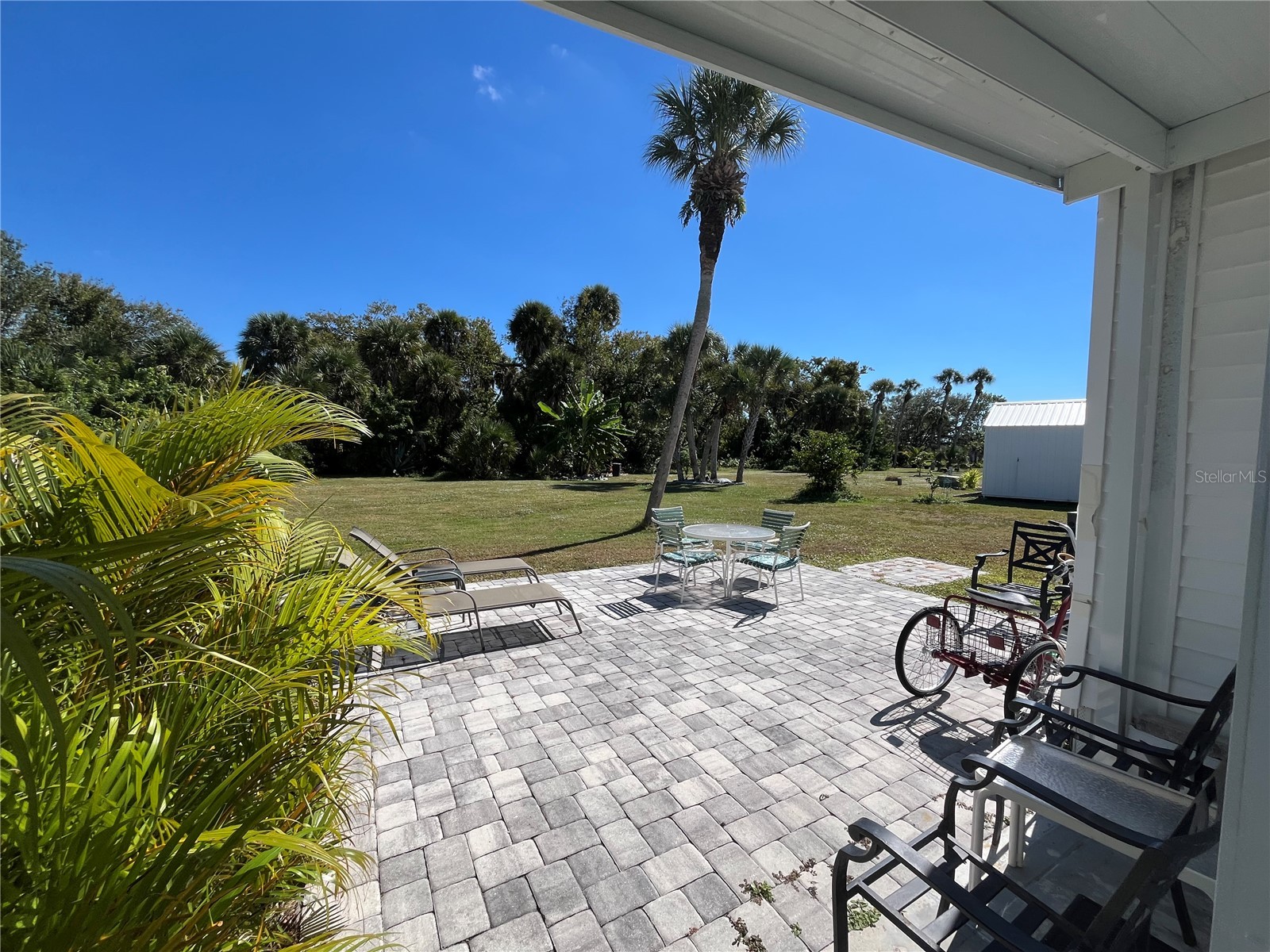 609 Cervina Drive Venice FL 34285 N6144947 image5