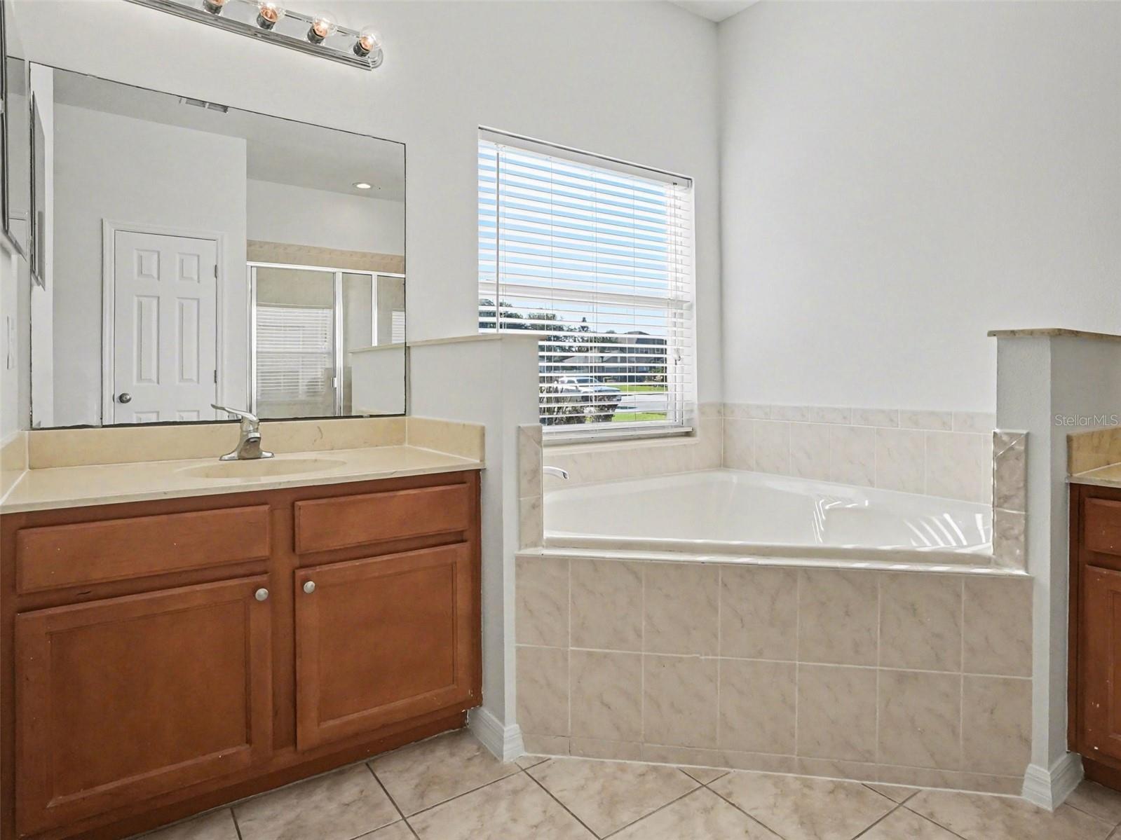 609 Cimarosa Court Ocoee FL 34761 O6400073 image12