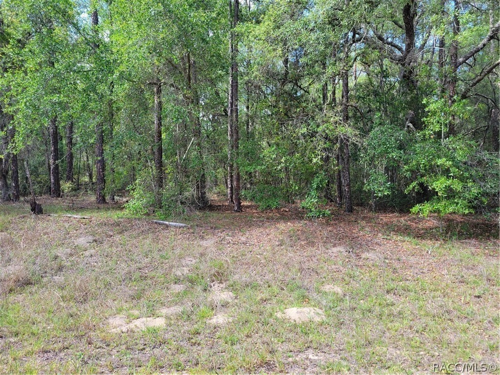 609 E Canturybury Lane Citrus Springs FL 34434 G5100974 image1