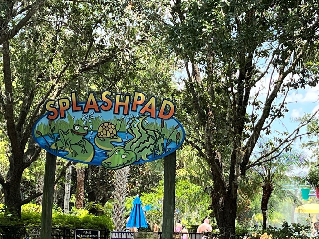 609 Gran Bahama Boulevard #29301 Davenport FL 33897 O6331929 image40