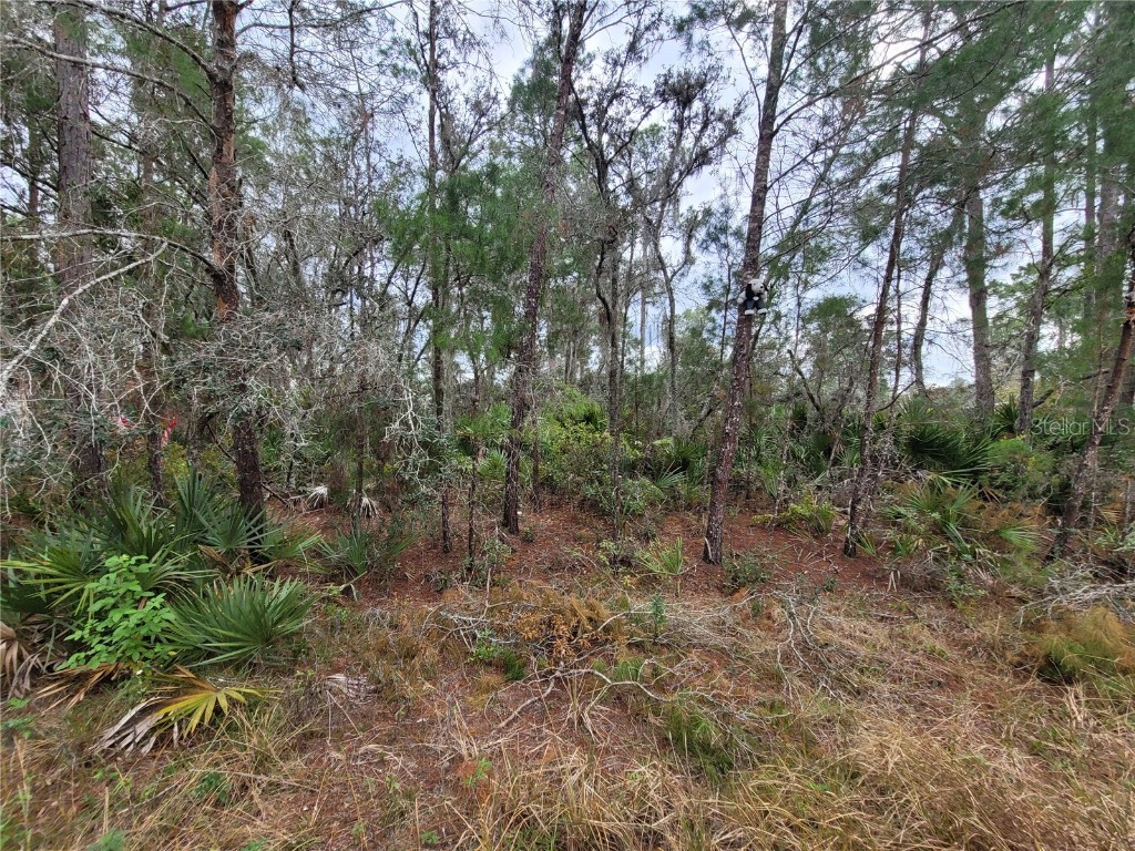 609 Hummingbird Avenue Sebring FL 33872 B4901101 image1