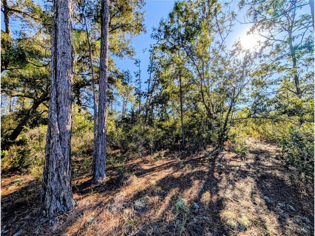 609 Indian Lake Drive Indian Lake Estates FL 33855 - LAKE WEOHYAKAPKA S5138288 image2