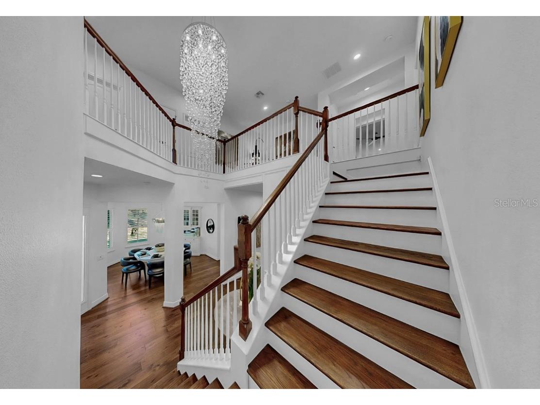 609 Manns Harbor Drive Apollo Beach FL 33572 TB8446146 image19