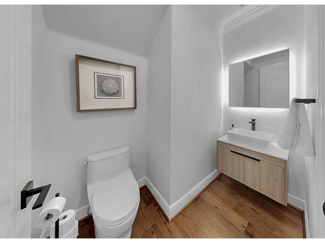 609 Manns Harbor Drive Apollo Beach FL 33572 TB8446146 image46