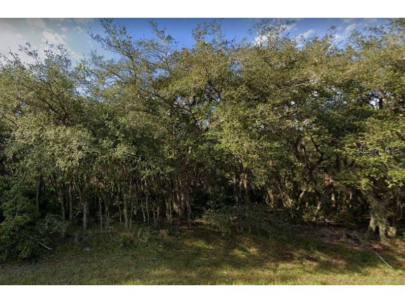 609 Marlin Way Poinciana FL 34759 B4901270 image3