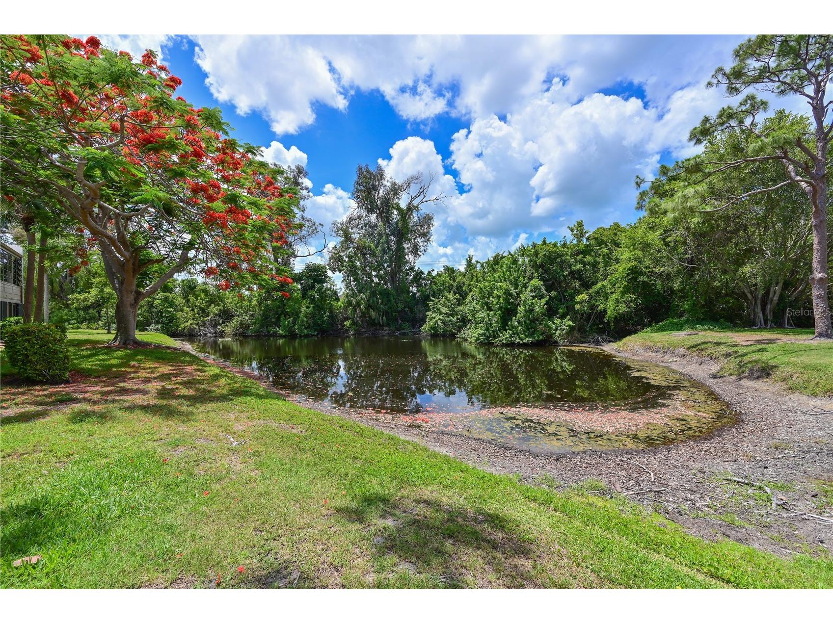609 Woodlawn Drive Bradenton FL 34210 A4694156 image28