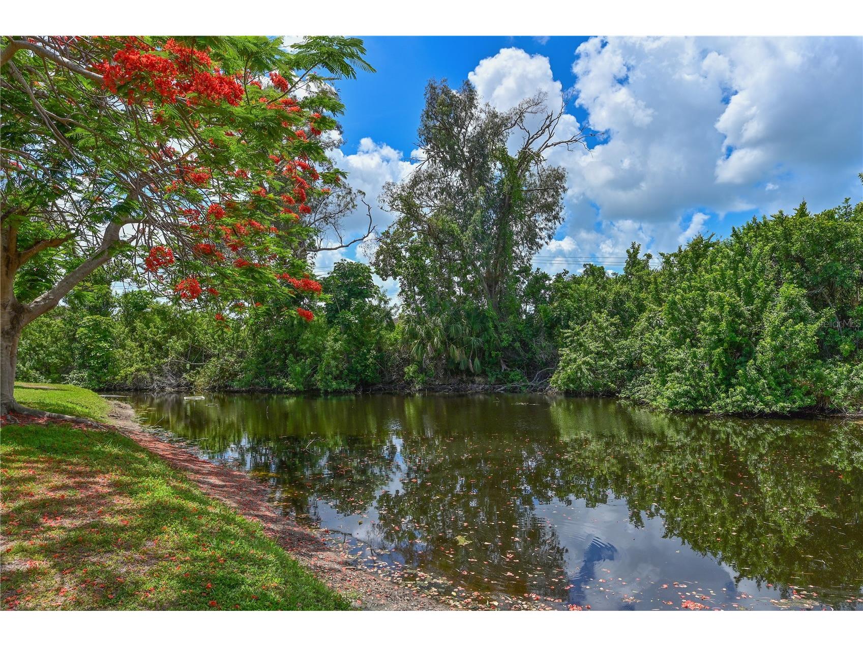 609 Woodlawn Drive Bradenton FL 34210 A4694156 image29