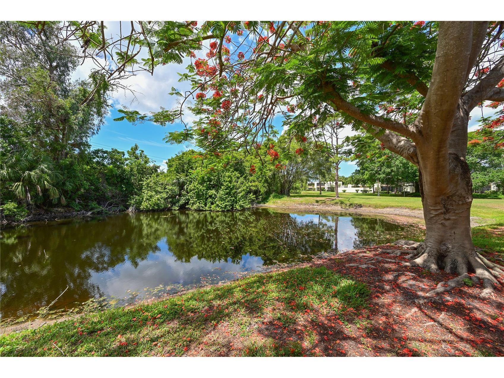 609 Woodlawn Drive Bradenton FL 34210 A4694156 image30