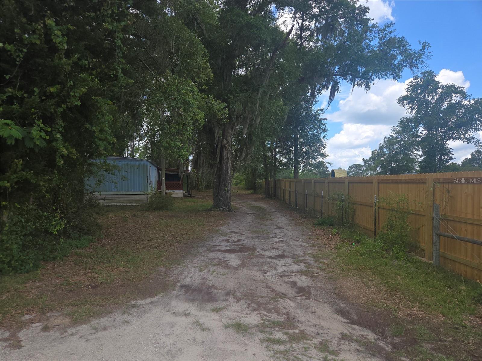 6090 NE 87 Terrace Bronson FL 32621 OM726377 image1