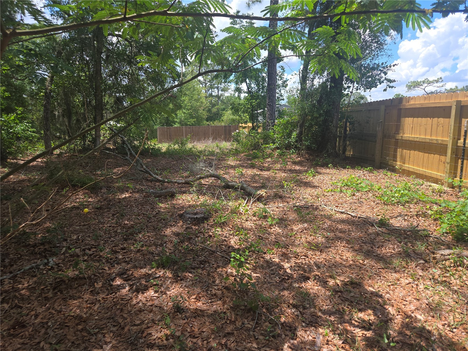 6090 NE 87 Terrace Bronson FL 32621 OM726377 image10