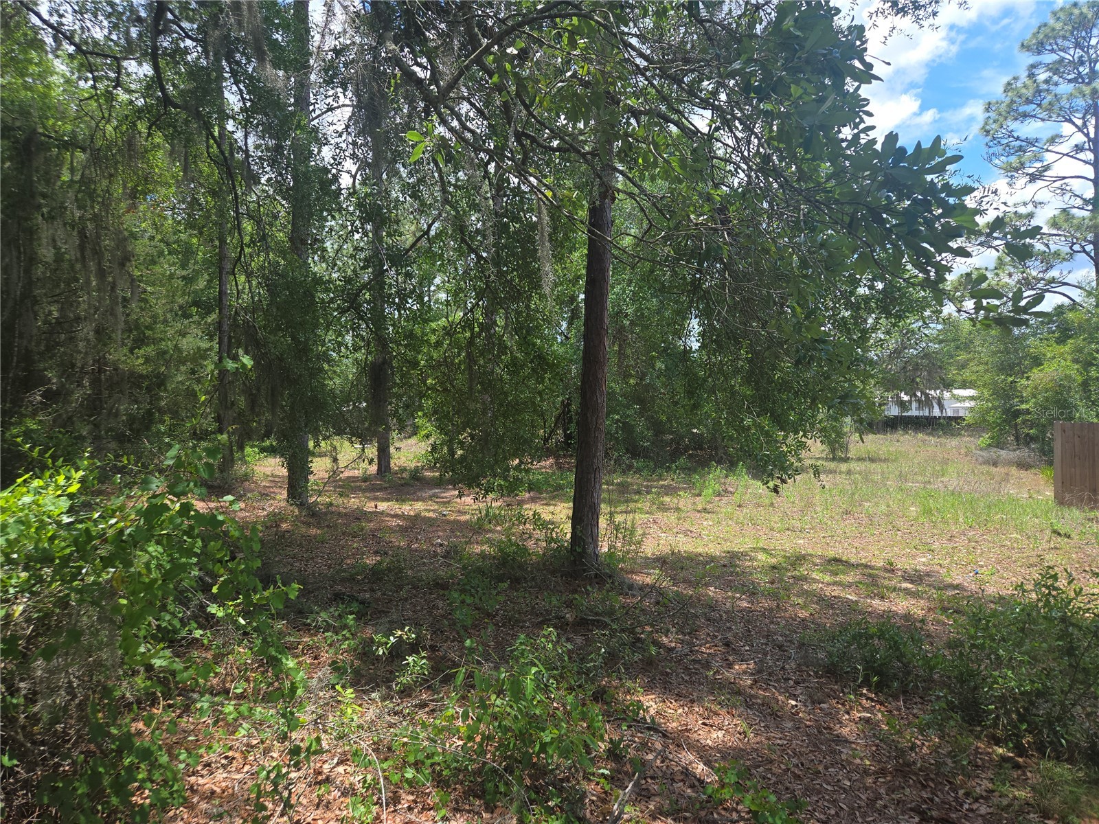 6090 NE 87 Terrace Bronson FL 32621 OM726377 image11