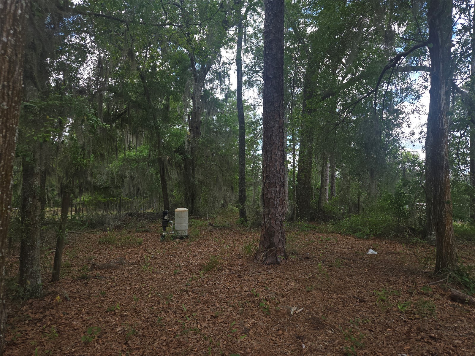 6090 NE 87 Terrace Bronson FL 32621 OM726377 image8