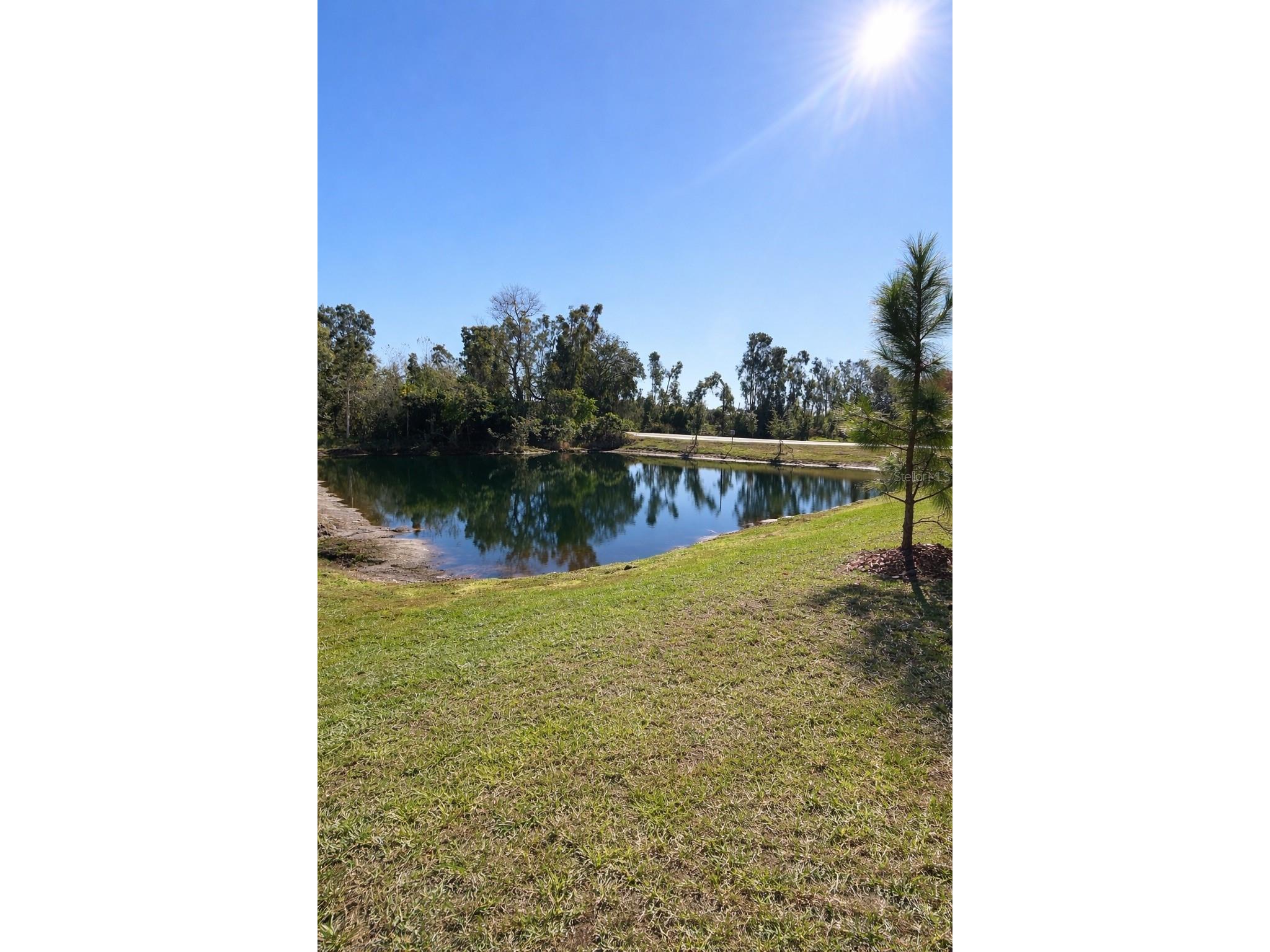 6090 Shiner Street Land O Lakes FL 34638 W7882246 image30