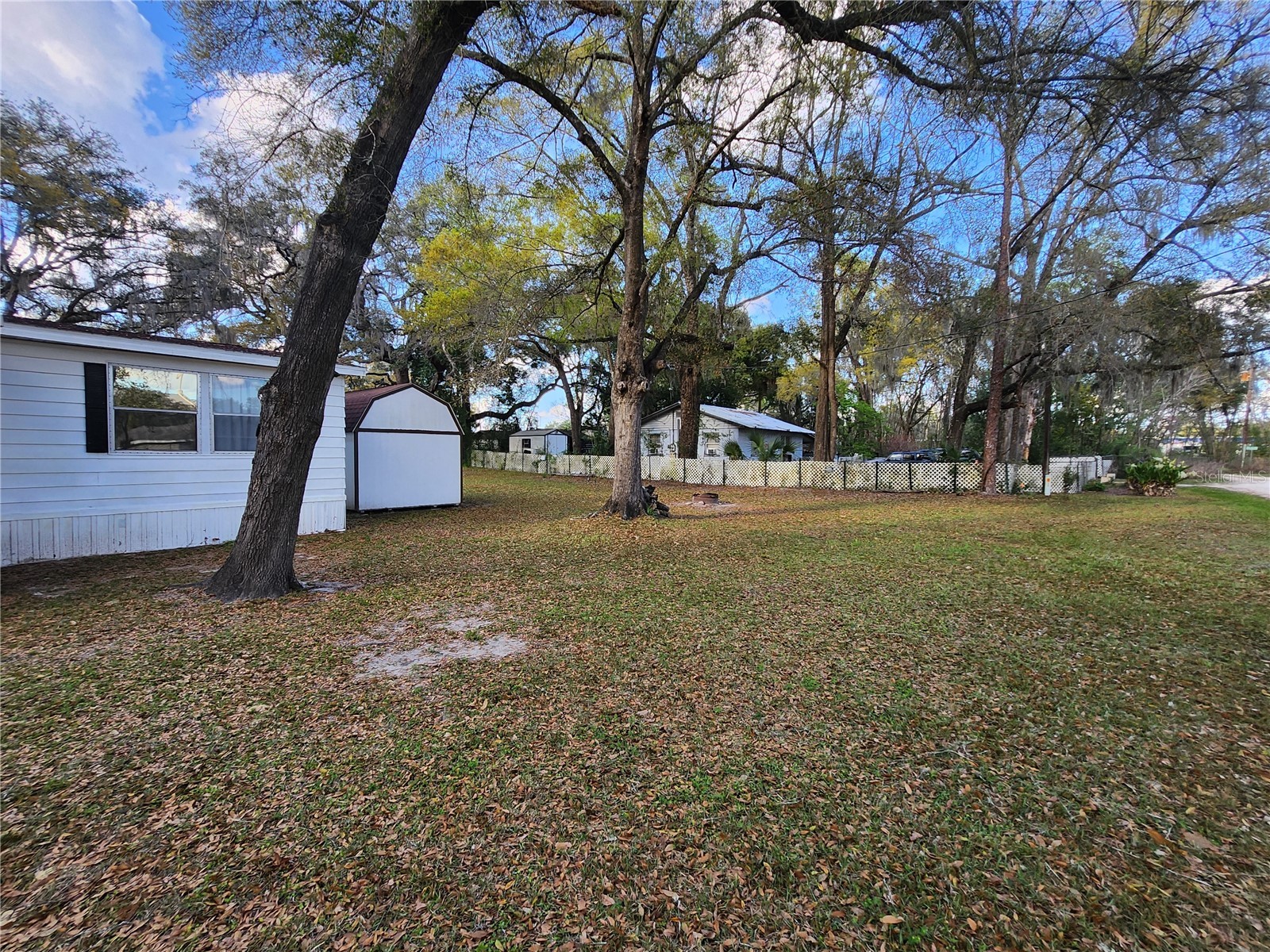 6091 SE 114th Street Road Belleview FL 34420 OM721166 image3