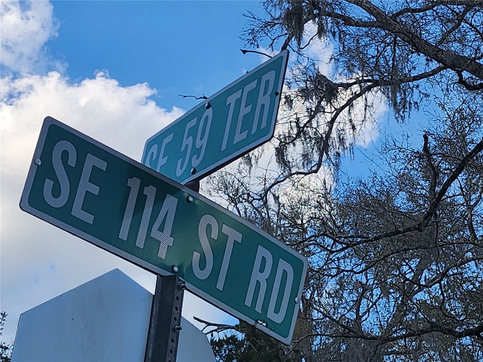 6091 SE 114th Street Road Belleview FL 34420 OM721166 image47