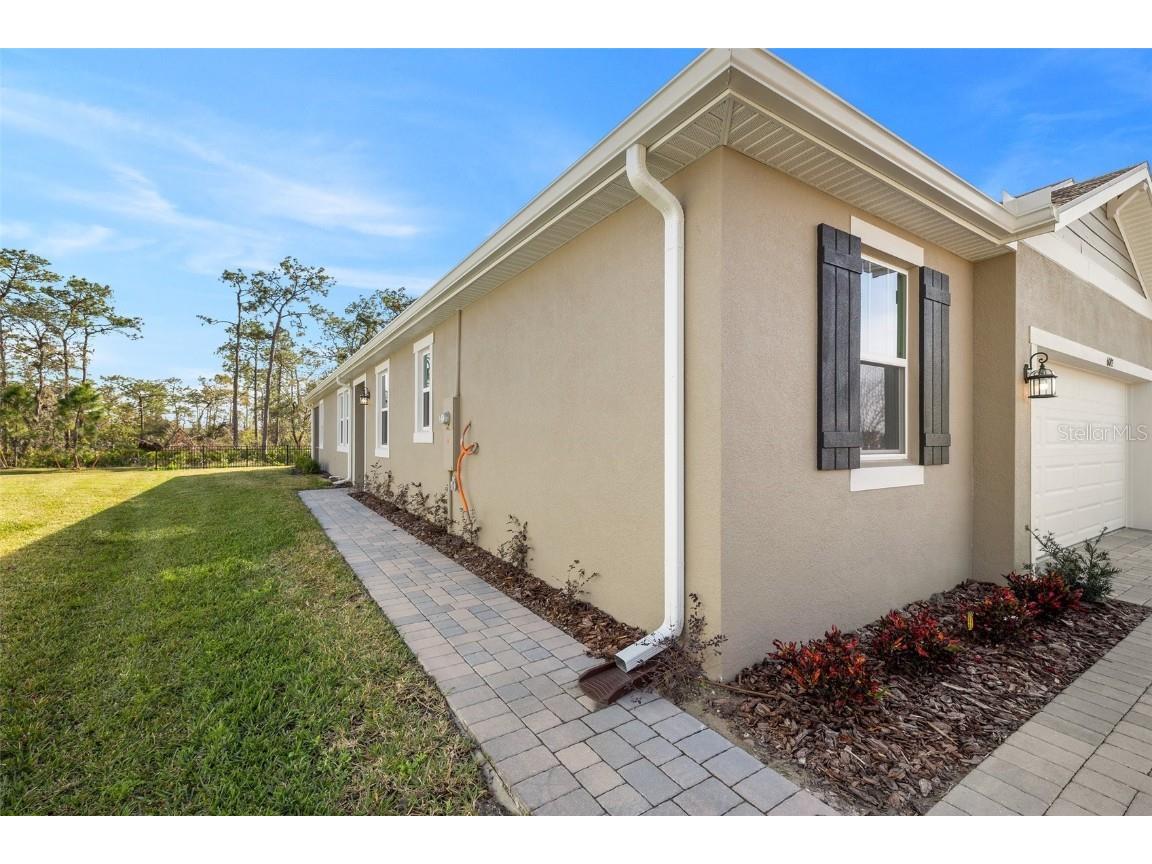6092 Timberdale Avenue Wesley Chapel FL 33545 TB8317667 image1
