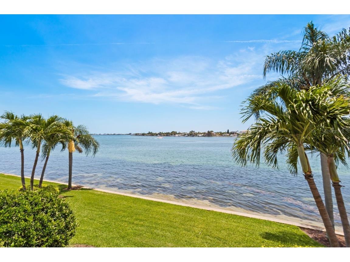 6093 Bahia Del Mar Circle #277 Saint Petersburg FL 33715 TB8316134 image18