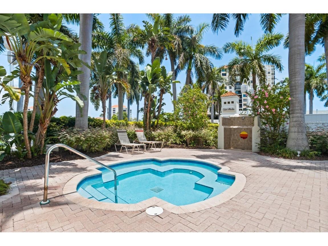 6093 Bahia Del Mar Circle #277 Saint Petersburg FL 33715 TB8316134 image28