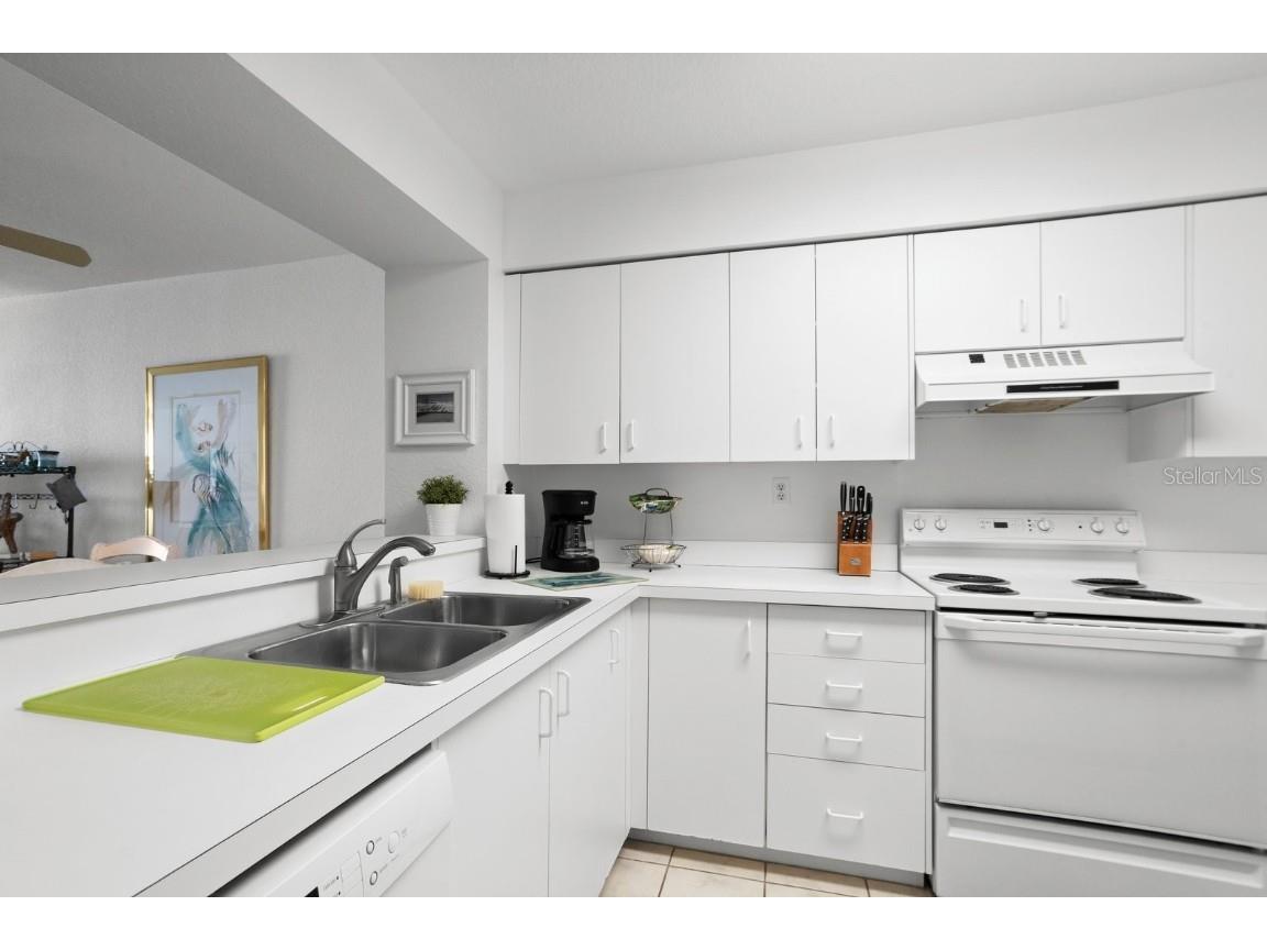 6093 Bahia Del Mar Circle #277 Saint Petersburg FL 33715 TB8316134 image7